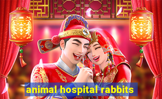 animal hospital rabbits